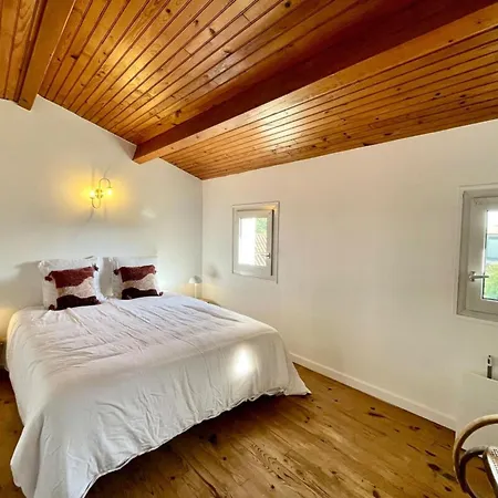 La Touzetterie Avec Spa-cour Privee *