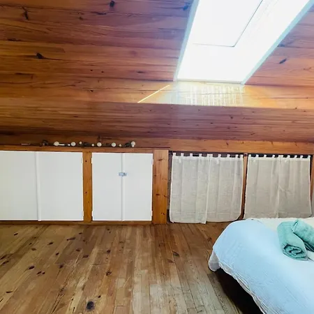 La Touzetterie Avec Spa-cour Privee