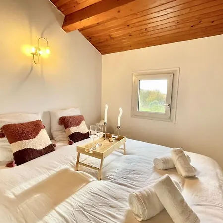 La Touzetterie Avec Spa-cour Privée